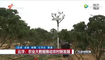 今年的云浮新闻头条,聚焦绿色发展，云浮打造生态宜居新典范